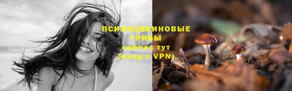 a pvp Кукмор
