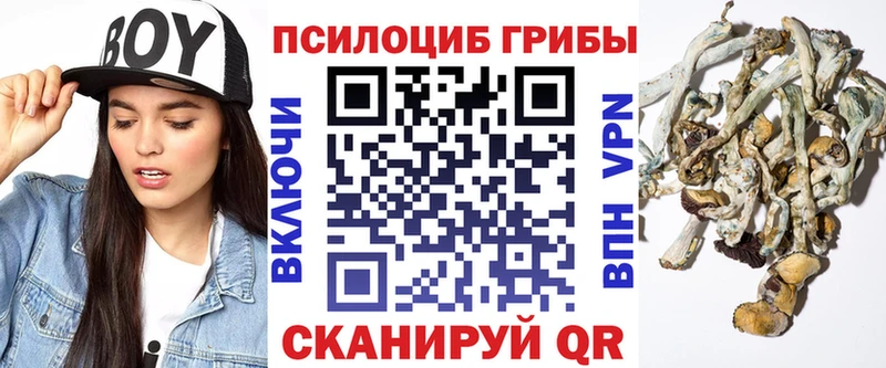 Купить  Нестеровская  Псилоцибиновые грибы мицелий 
